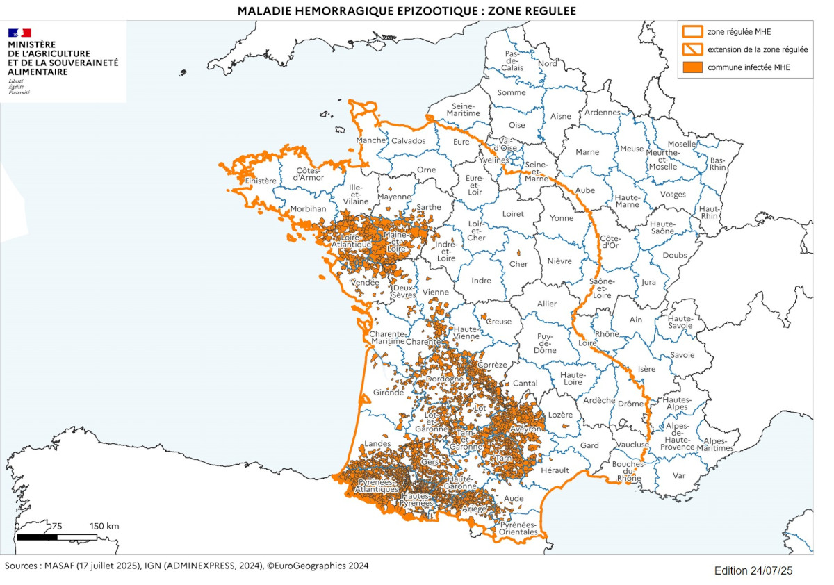 Maladie hémorragique épizootique : zone régulée