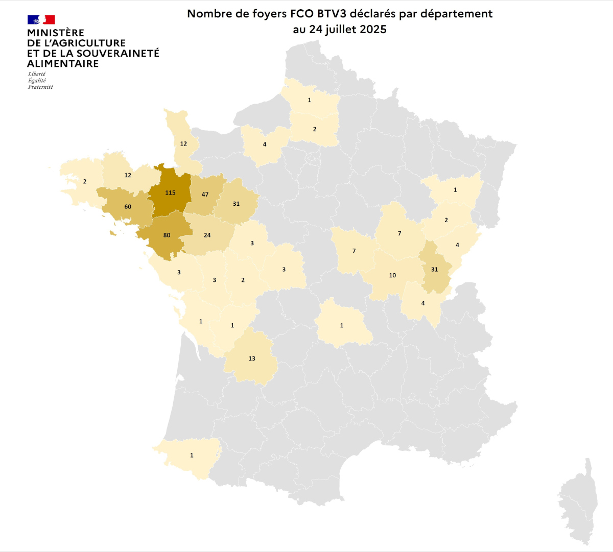 Nombre de foyers FCO BTV3 déclarés par département au 24 juillet 2025