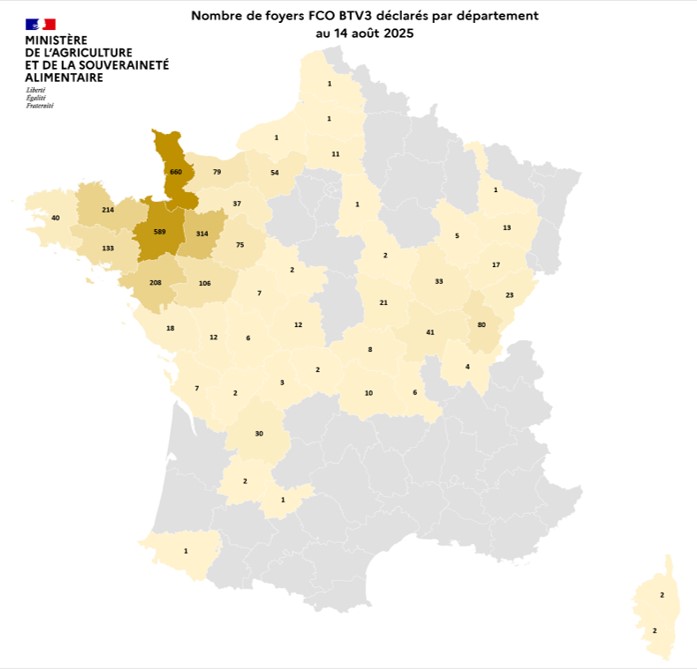 Nombre de foyers FCO BTV3 déclarés par département au 14 août 2025