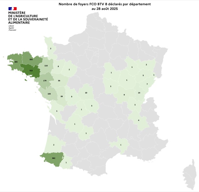 Nombre de foyers FCO BTV 8 déclarés par département au 28 août 2025