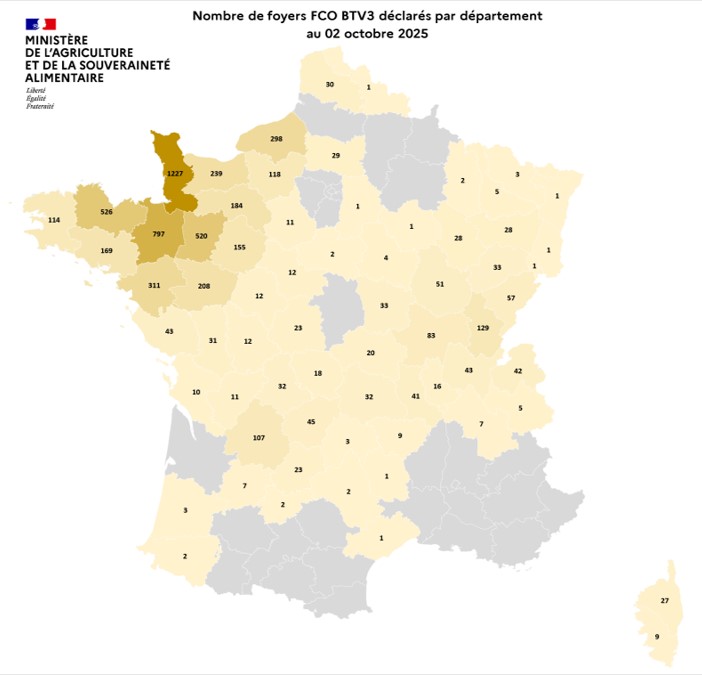 Nombre de foyers FCO BTV3 déclarés par département au 2 octobre 2025