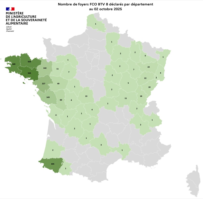 Nombre de foyers FCO BTV 8 déclarés par département au 2 octobre 2025