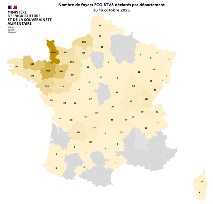 Nombre de foyers FCO BTV3 déclarés par département au 16 octobre 2025