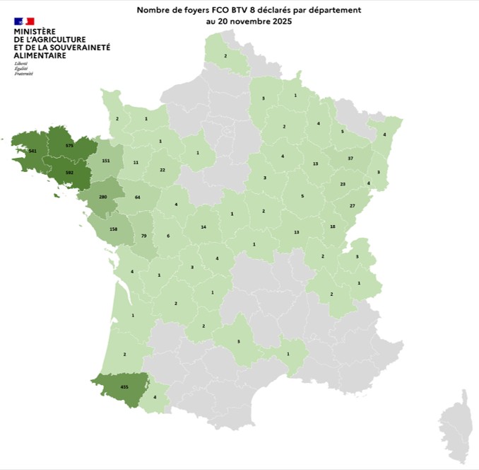 Nombre de foyers FCO BTV 8 déclarés par département au 20 novembre 2025