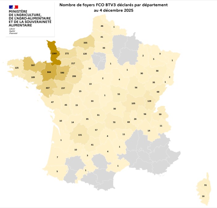 Nombre de foyers FCO BTV3 déclarés par département au 4 décembre 2025