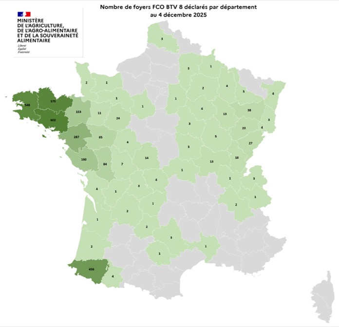 Nombre de foyers FCO BTV 8 déclarés par département au 4 décembre 2025