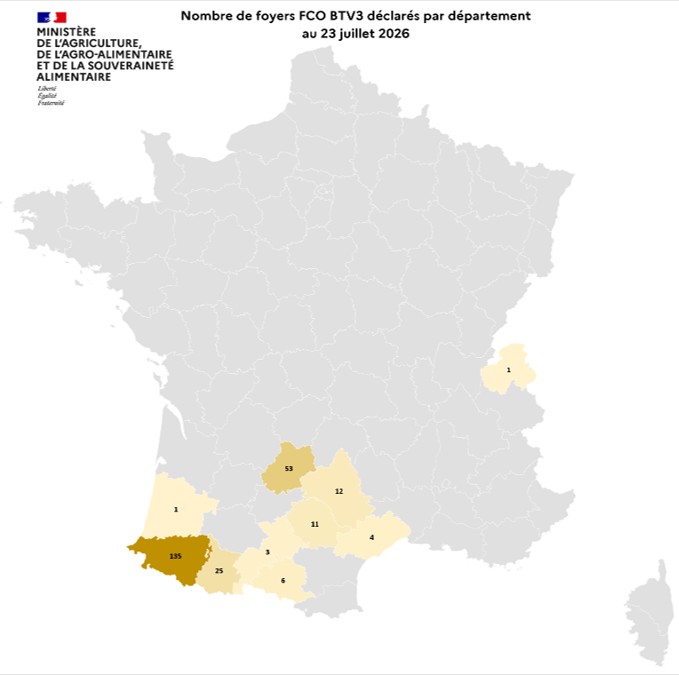 Nombre de foyers FCO BTV3 déclarés par département au 23 juillet 2026
