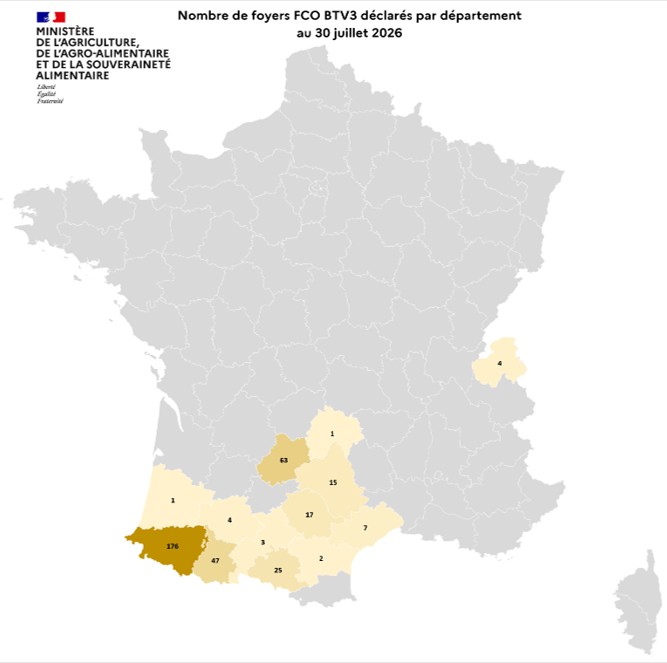 Nombre de foyers FCO BTV3 déclarés par département au 30 juillet 2026