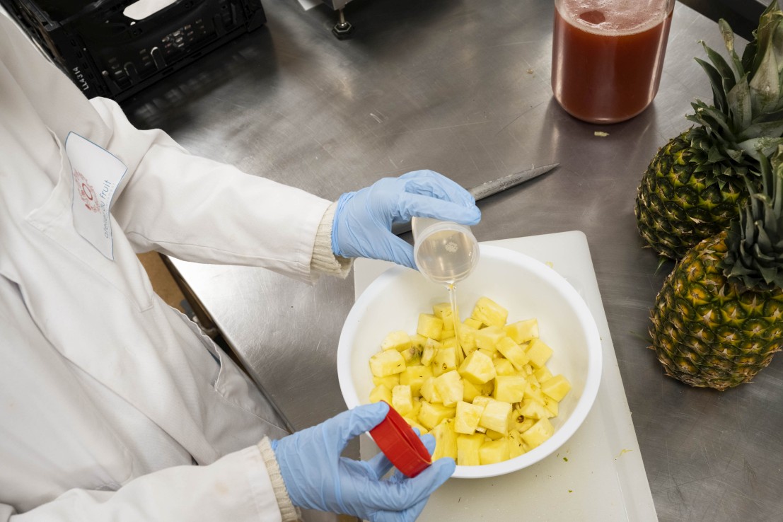 Ajouts de ferments lactiques sur des morceaux d'ananas dans un laboratoire agroalimentaire