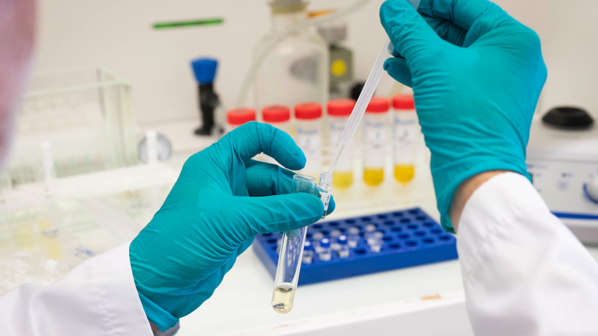 Analyse d'un prélèvement de coquillages par Labocéa