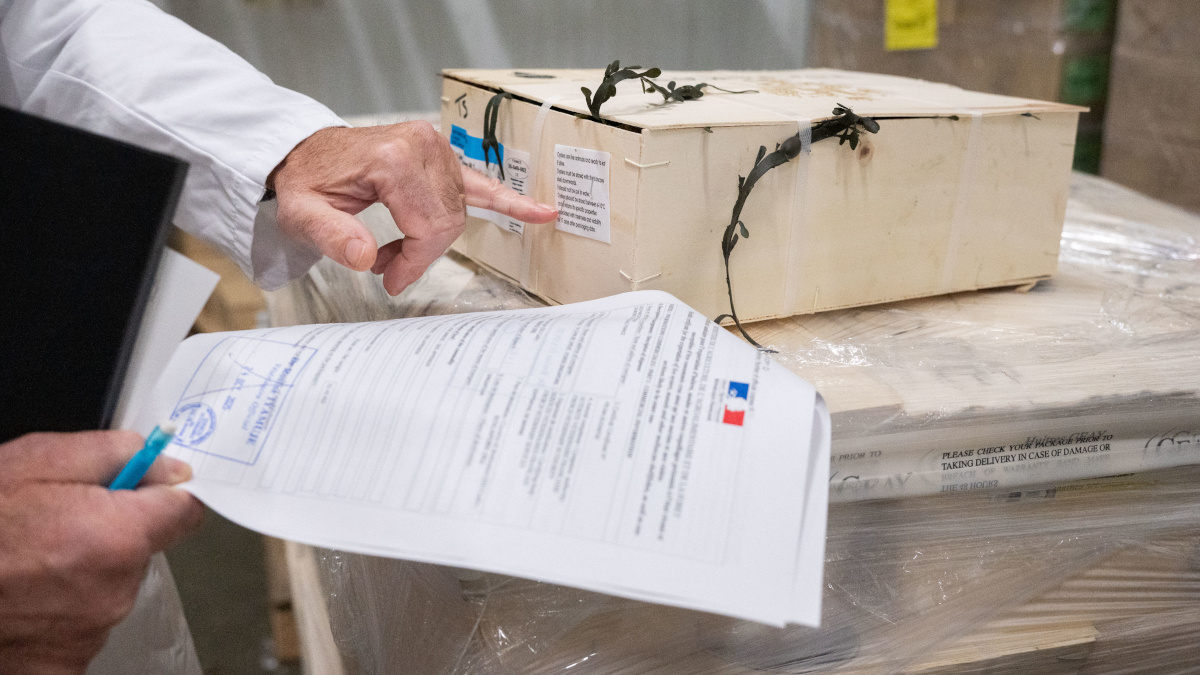 Contrôle d'un colis d'huîtres, au marché de Rungis