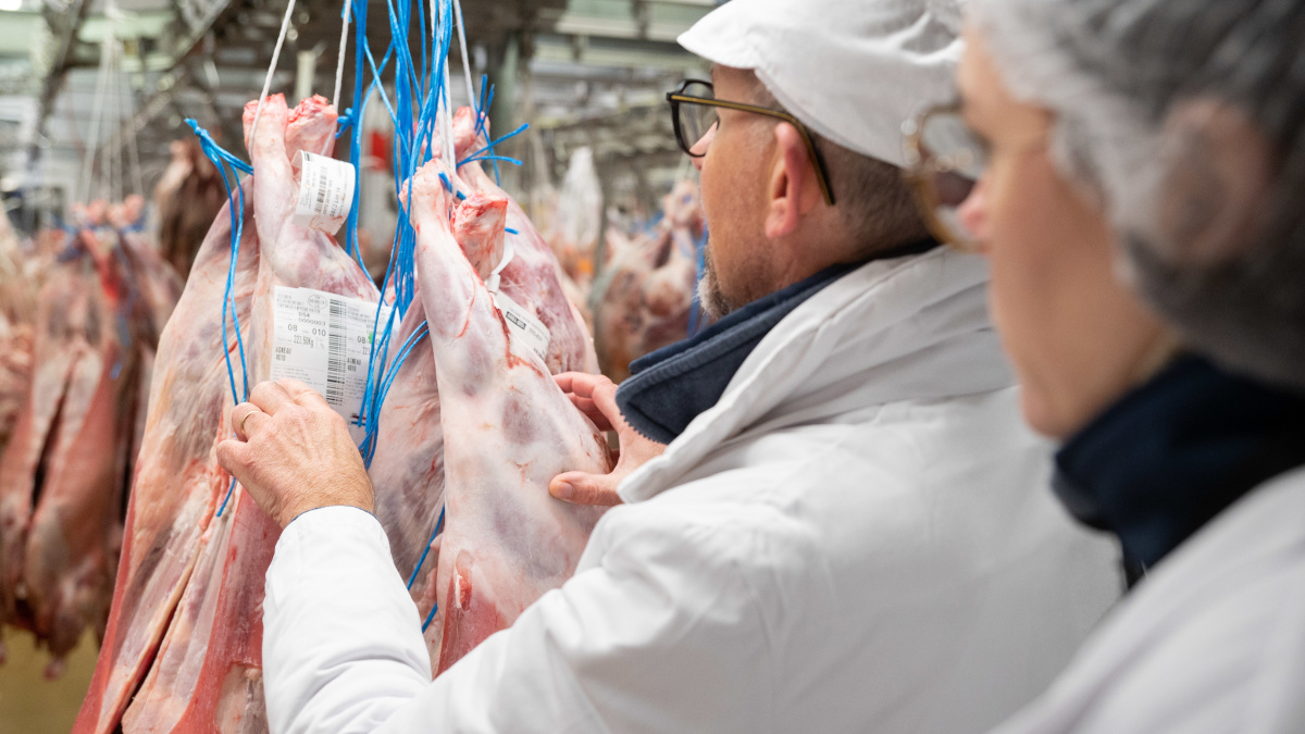 Un agent de la DDPP 94 contrôle l'estampille d'une carcasse de viande à Rungis.
