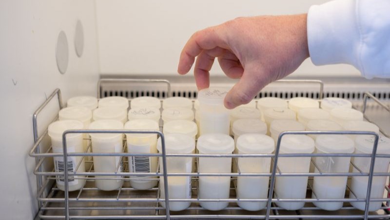 Technologie PCR pour l'analyse des échantillons de lait. Voir le crédit et la légende sous l'image.