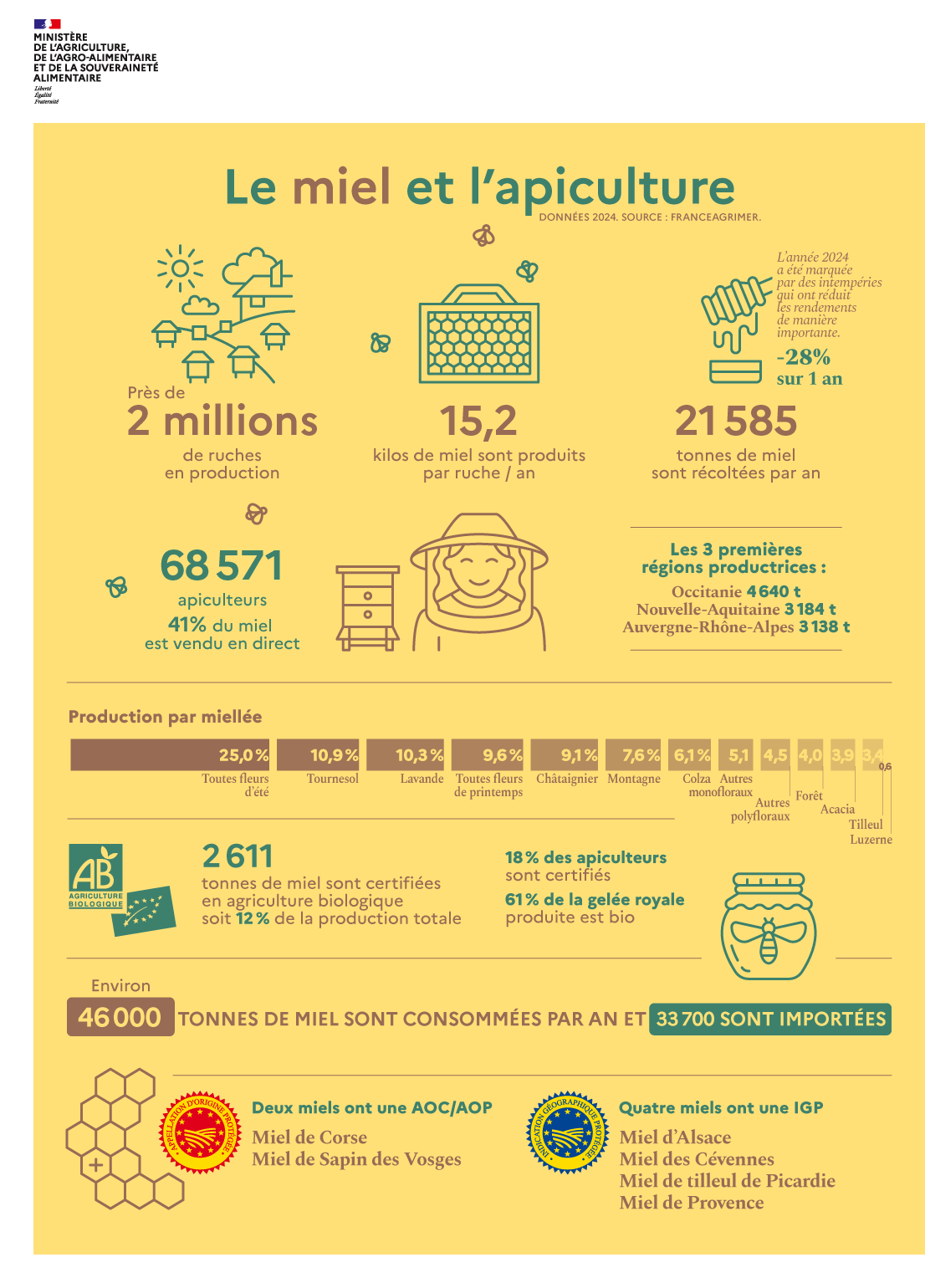 Infographie : Le miel et l'apiculture