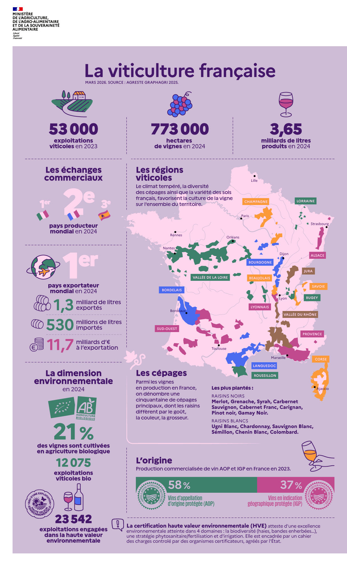 Infographie la viticulture française voir transcription