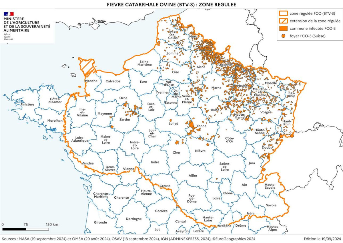 Carte de France présentant les zones ou la fièvre catarrhale ovine est présente les zones les plus infectées sont situées au nord est mais des foyers sont également présents vers le centre et dans la Sarthe