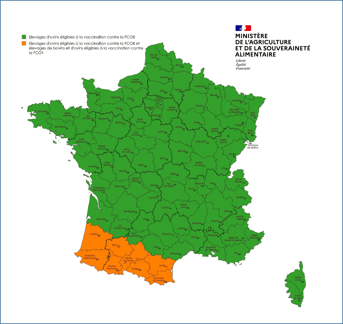 Carte vaccination FCO