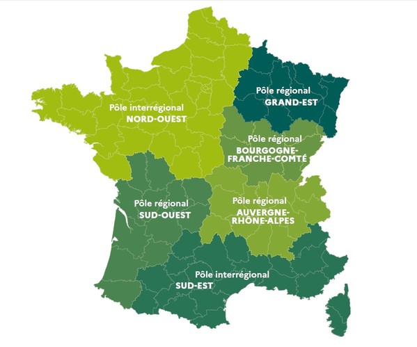 carte de France présentant 6 pôles Le réseau de correspondants-observateurs :  nord-ouest, grand-est,sud-ouest, Bourgogne Franche Comté, auvergne Rhone -Alpes et sud est   
