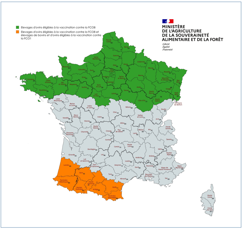 Carte de vaccination FCO