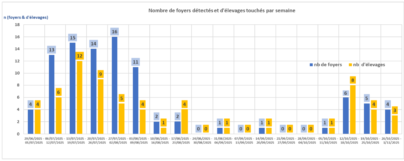 Nombre de foyers détectés et d'élevages touchés par semaine