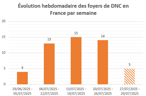 DNC - Graphique du nombre de foyers par semaine