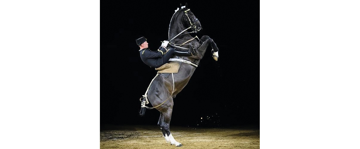 IFCE, voir crédit photo