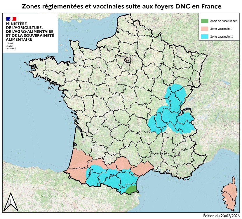 Zones réglementées et vaccinales suite aux foyers DNC en France - 20/02/2026