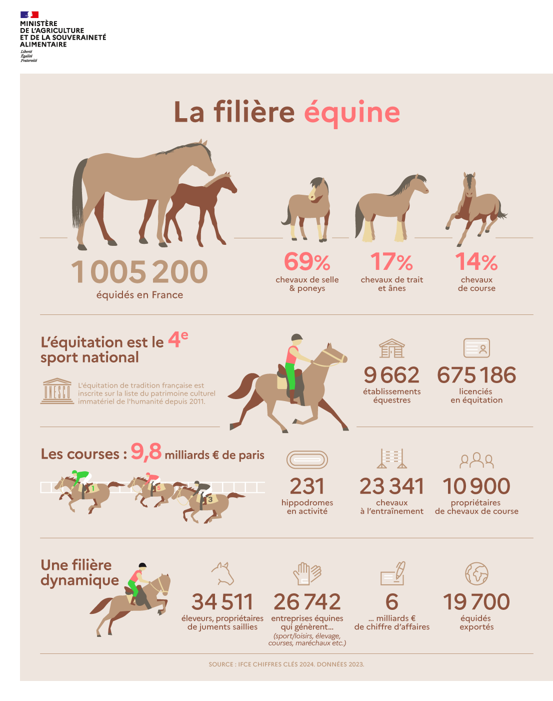 Infographie - La filière équine 2025