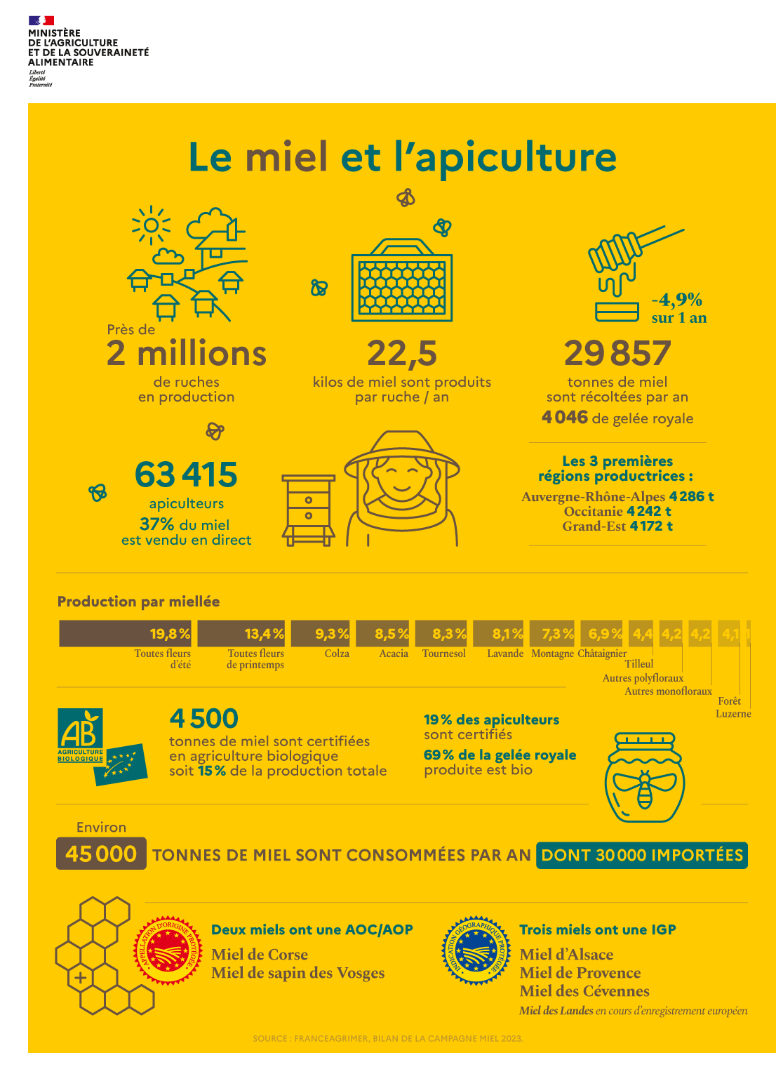Infographie sur les chiffres clés de la filière apiculture 2025