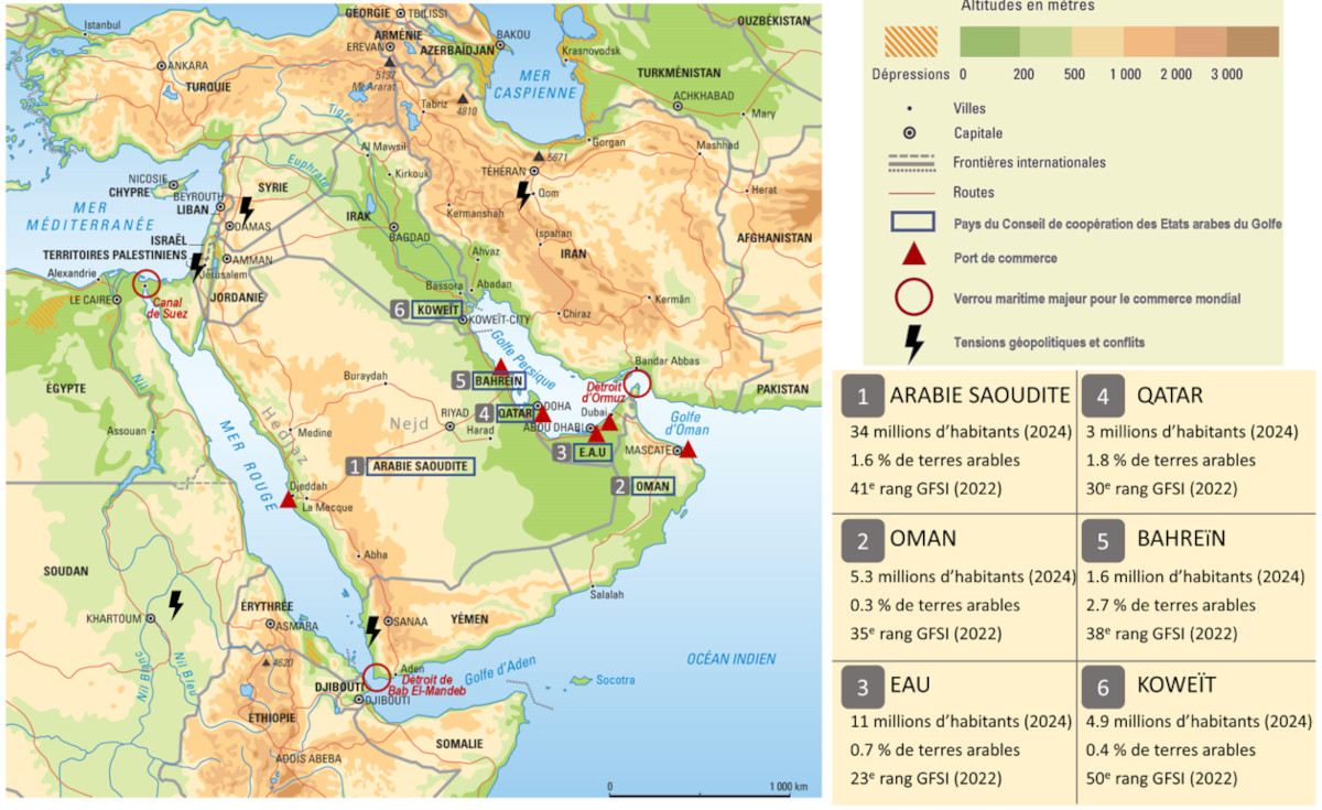 Les pays du Golfe dans leur environnement