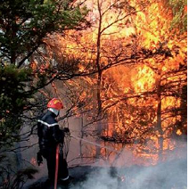 Pompier éteingnant un feu de forêt