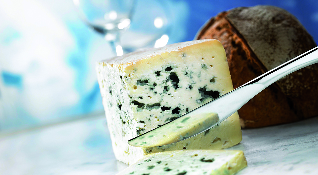 GORGES du TARN 24 etiquettes différentes de fromage  BLEU des CAUSSES AVEYRON 