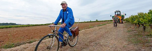Viticulteur retraité à vélo. ©Pascal Xicluna/Min.Agri.Fr