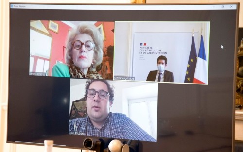 Capture d'écran de la visio entre le ministre, la Haute fonctionnaire et Louis (journée DuoDay)