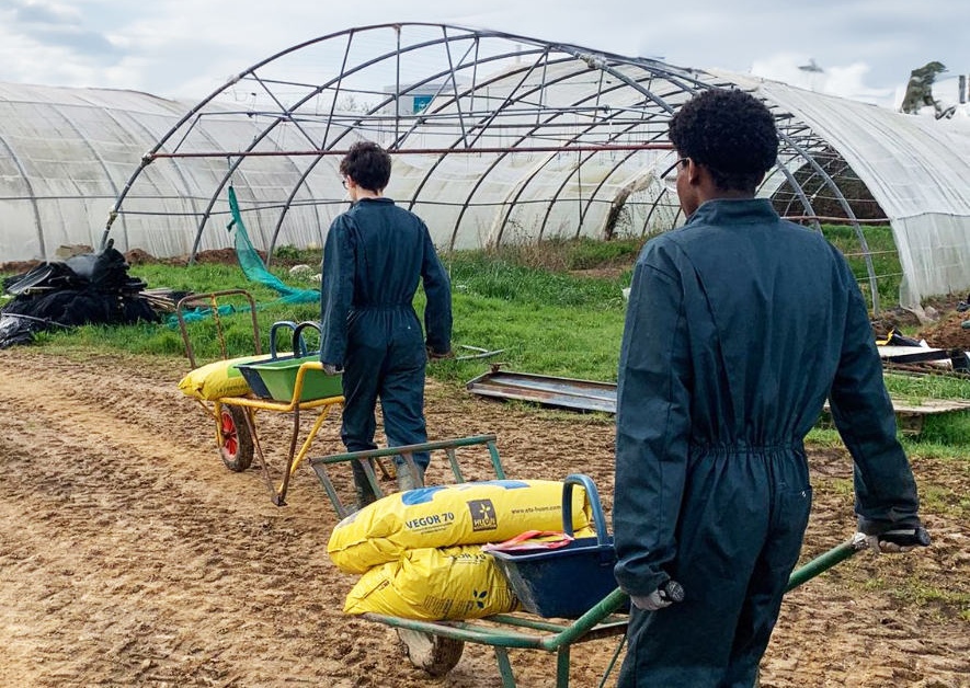 Élèves en train de travailler à proximité de serres agricoles