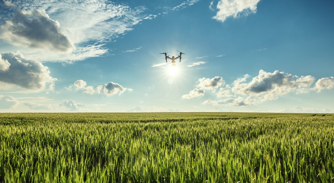 Vol d'un drone au-dessus d'un champ de blé