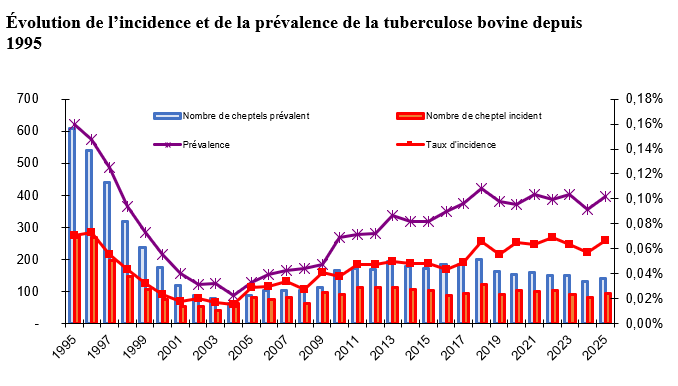Evolution de l’incidence et de la prévalence de la tuberculose bovine depuis 1995