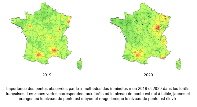Carte de France présentant  les lieux de présence du Bombyx disparate