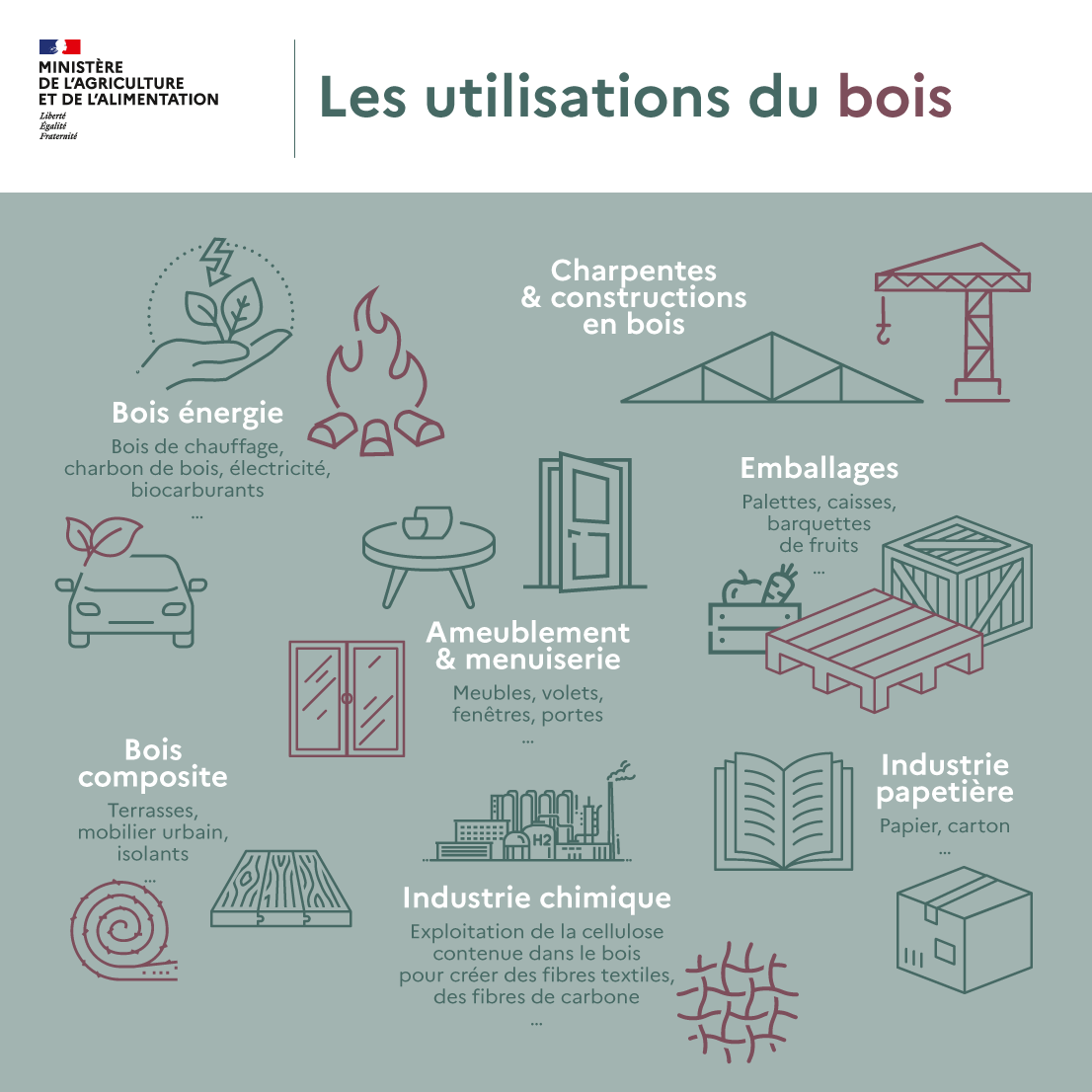 Infographie - Les utilisations du bois  Ministère de l'Agriculture et de la Souveraineté 