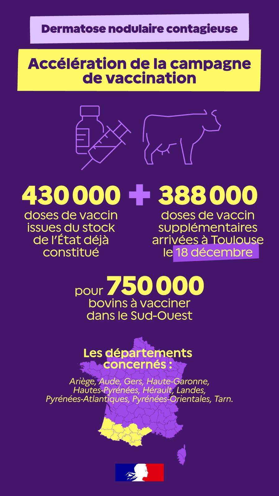 Infographie - Dermatose nodulaire contagieuse : accélération de la campagne de vaccination