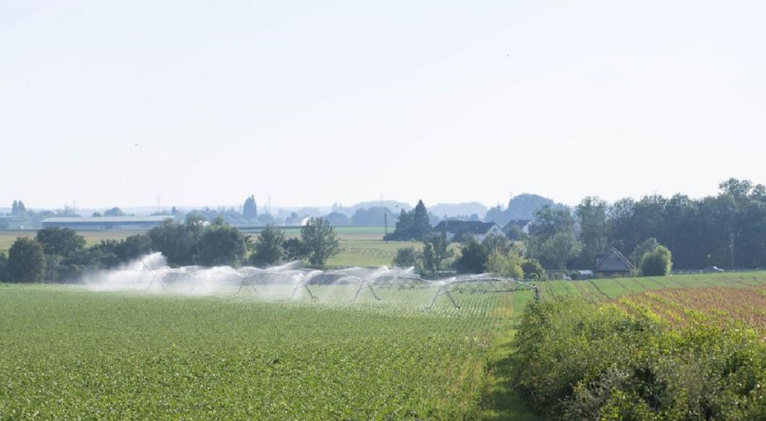 irrigation d'un champs