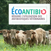 Ecoantibio réduire l'utilisation des antibiotiques vétérinaires