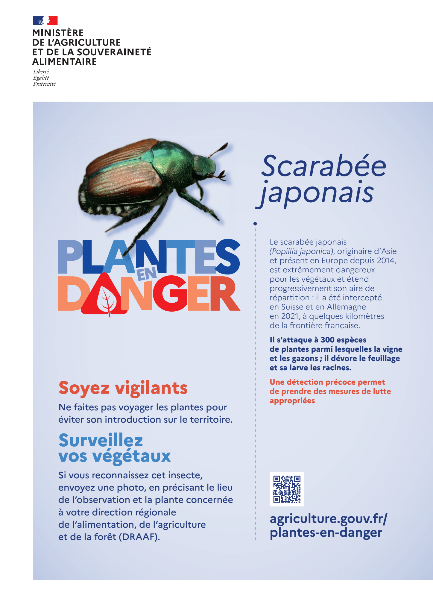 Affiche sur popillia japonica de la campagne "Plantes en danger"