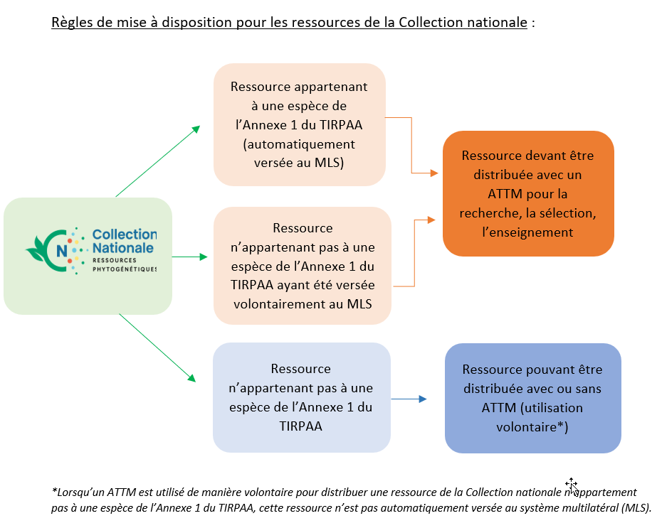 Règles de mise à disposition pour les ressources de la Collection nationale