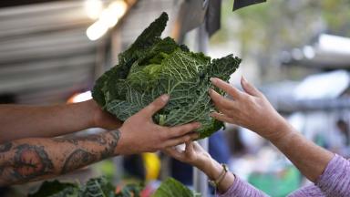 L’alimentation Comme Vecteur Du Bien Vieillir - Avis N° 92 Du CNA ...