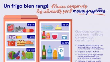 Des conseils pour bien ranger votre frigo  Ministère de l'Agriculture et  de la Souveraineté alimentaire