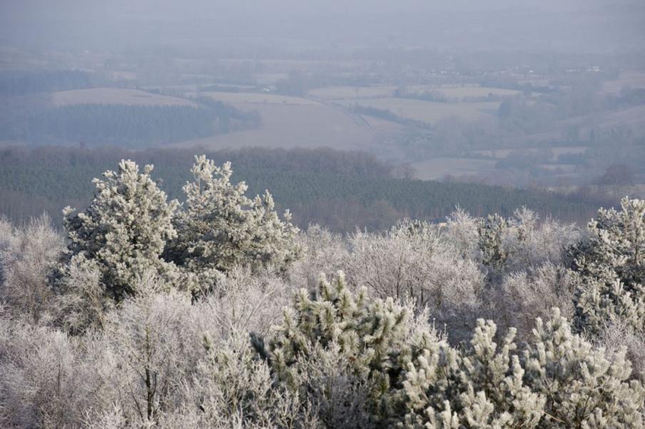 Fournisseurs, espèces réglementées, provenances et matériels de base forestiers image