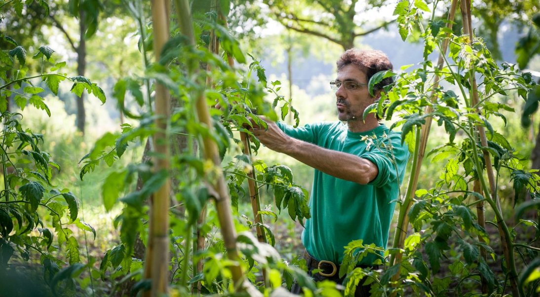 Quels sont les produits de biocontrôle ?
