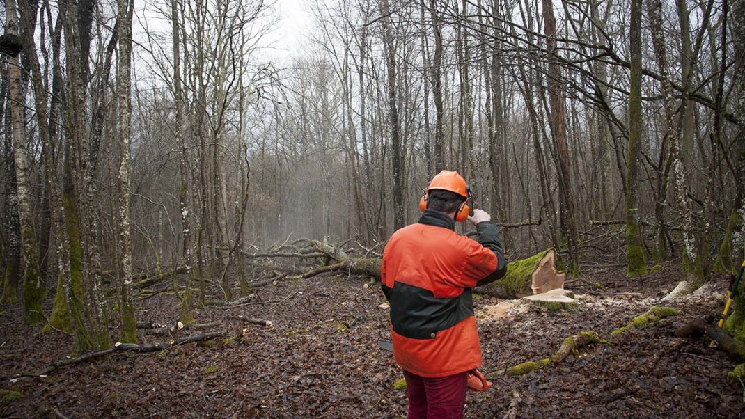 FAQ sur le décret n°2021-1833 relatif aux règles de sécurité applicables aux travaux agricoles