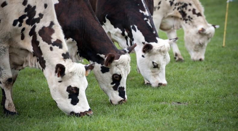 La situation de la fièvre catarrhale ovine (FCO) en France